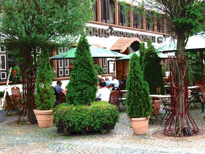 Hotel Zum Goldenen Ochsen Maikammer Zewnętrze zdjęcie